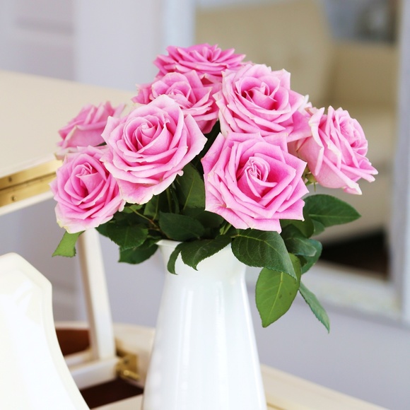 Meet your Posher, Mimi - Picture 1 of 1